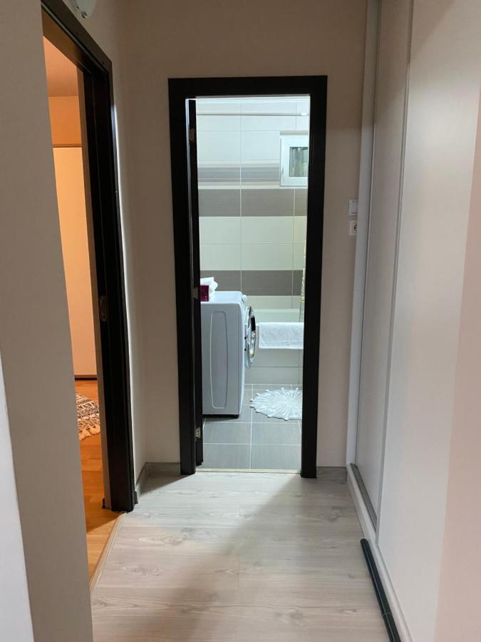Sellada Apartament - Free Private Parking,Ac,Wi-Fi Carei Exteriör bild